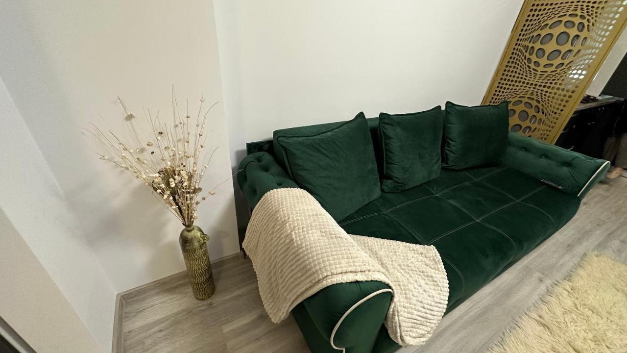 BacăuApartament Lux Bacovia 2アパートメント エクステリア 写真